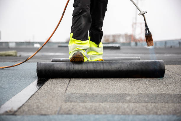 Best Roof Moss and Algae Removal  in West Sharyland, TX